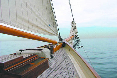 sail san diego